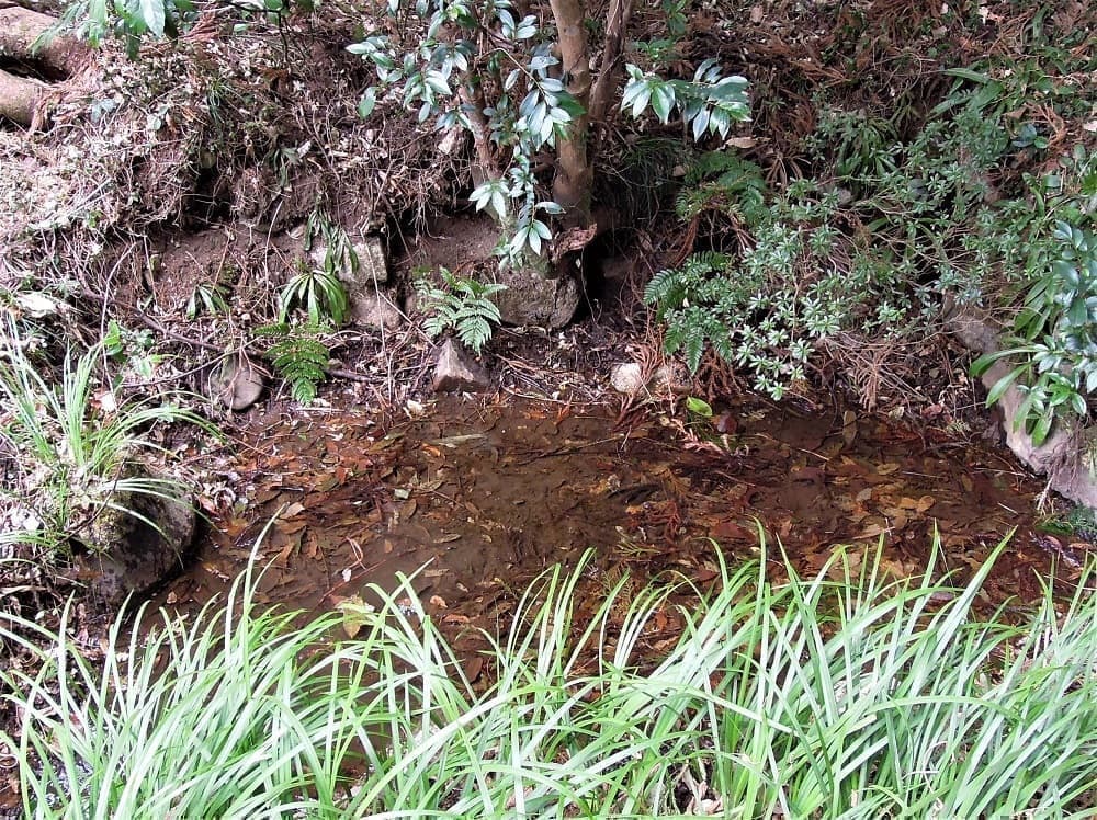 ご親水として利用していた清水。元禄8年(1695)に相馬昌胤が境内を整備したときに命名。