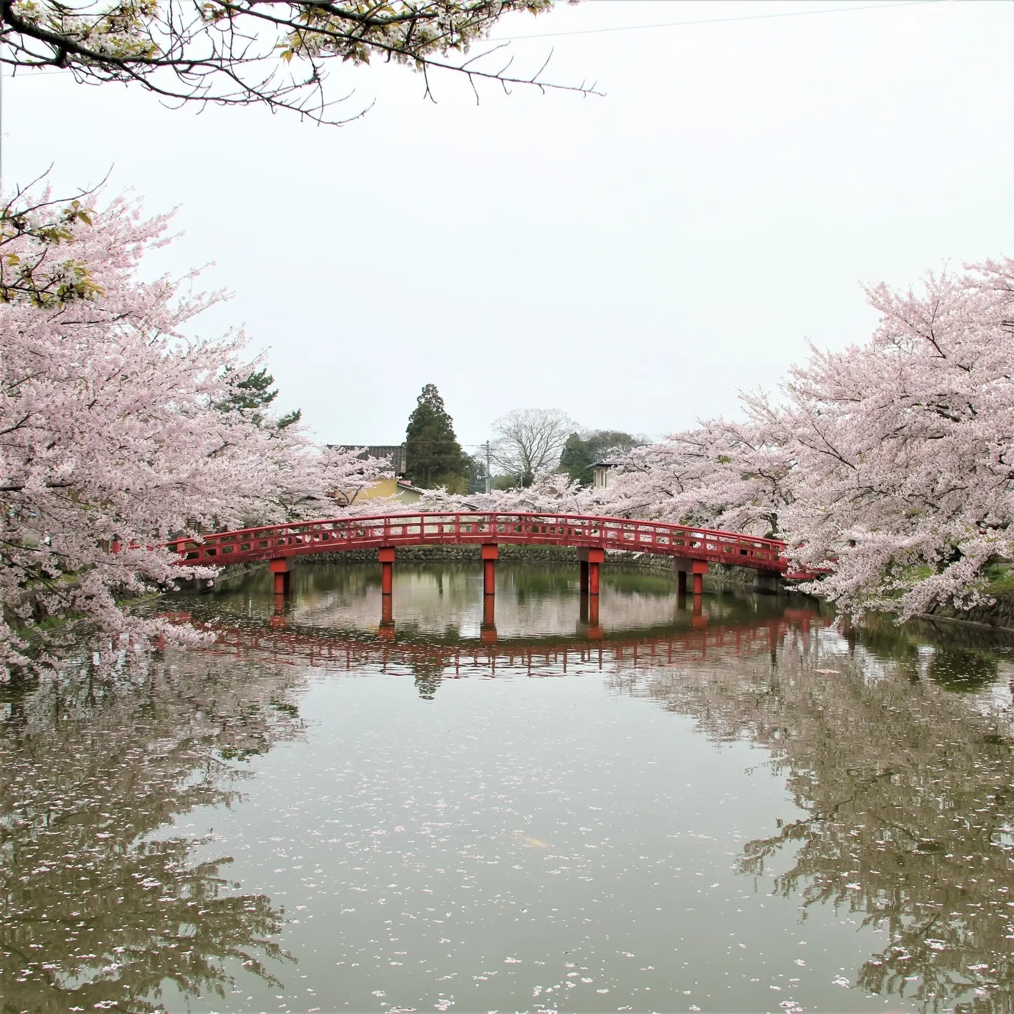 涼ヶ岡八幡神社