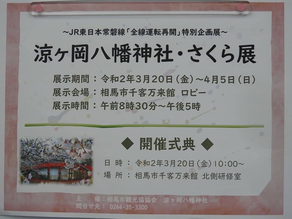涼ヶ岡八幡神社 さくら展