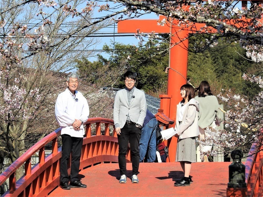 桜 母心 関あつし