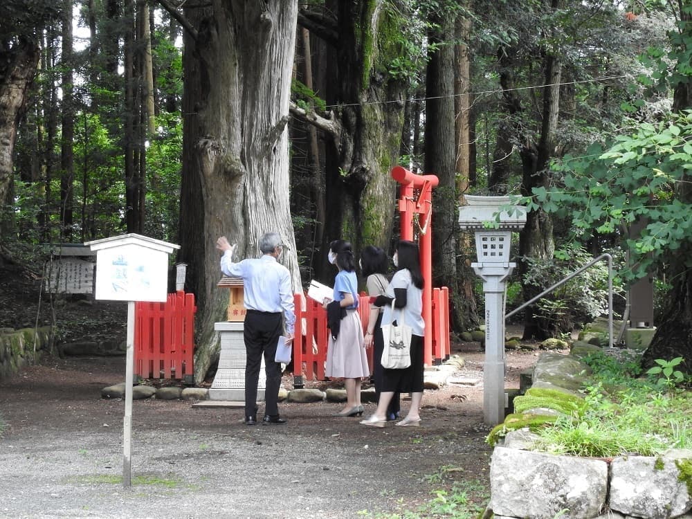 涼ヶ岡八幡神社 祈年祭 春祭り 神事