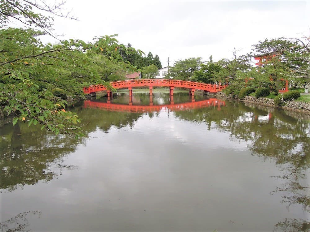 涼ヶ岡八幡神社 放生池
