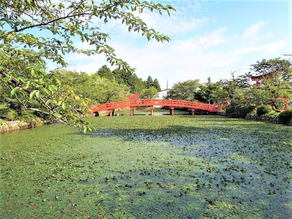 涼ヶ岡八幡神社 放生池
