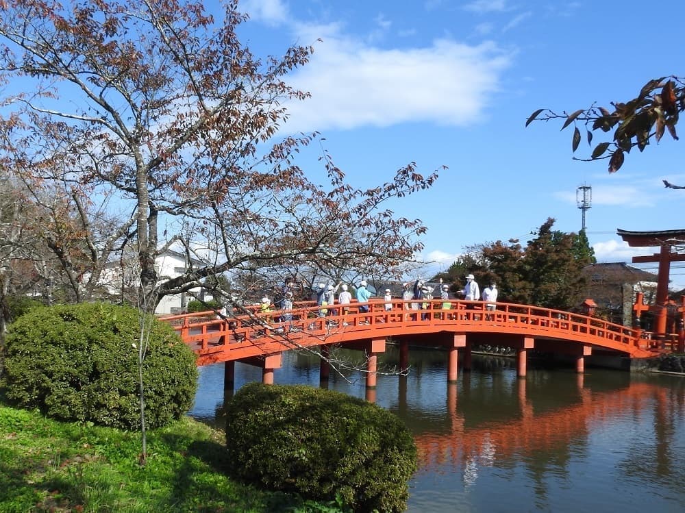 涼ヶ岡八幡神社 放生池 神路橋