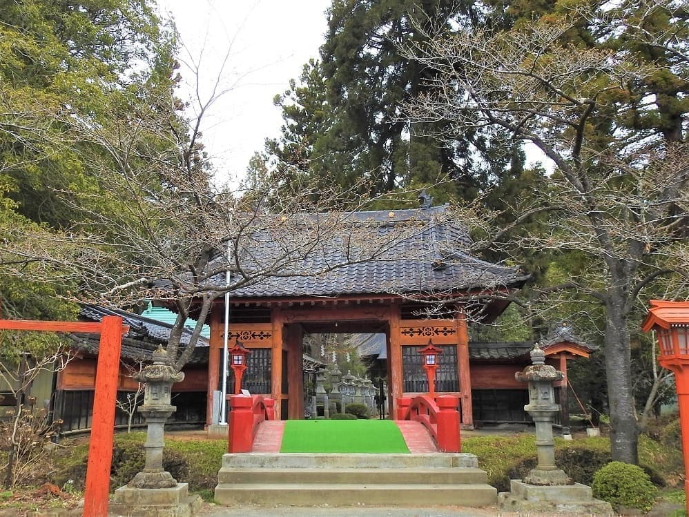 涼ヶ岡八幡神社 随身門 桜 開花情報