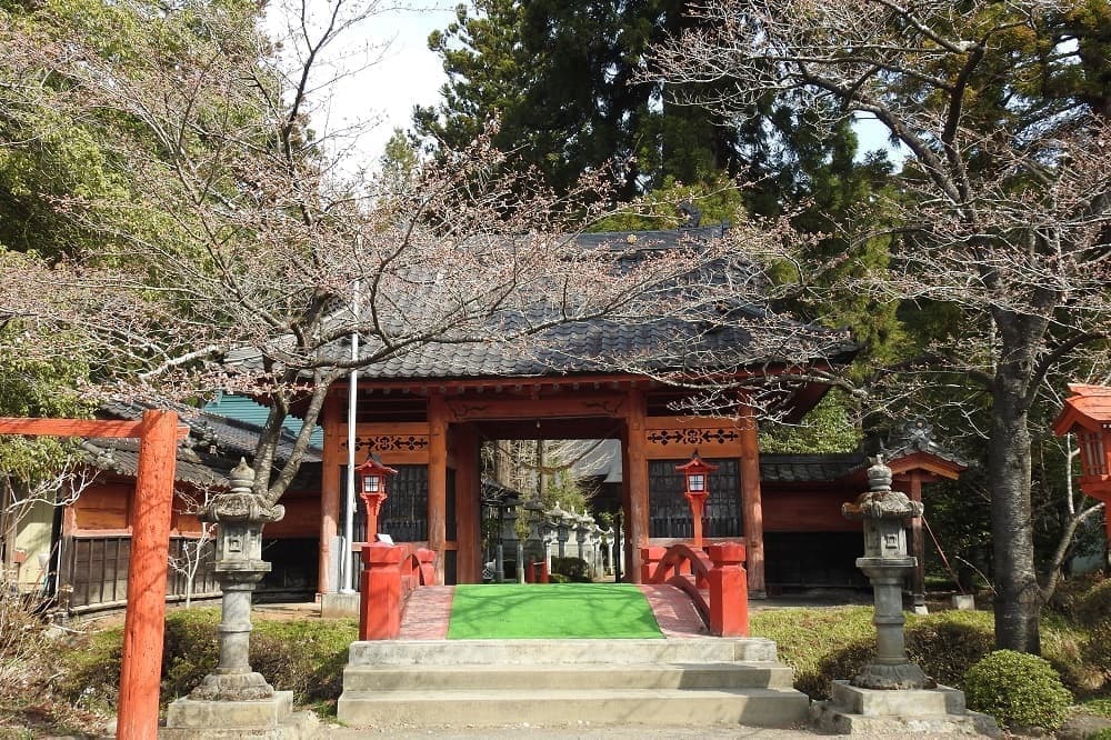 涼ヶ岡八幡神社 桜 開花情報