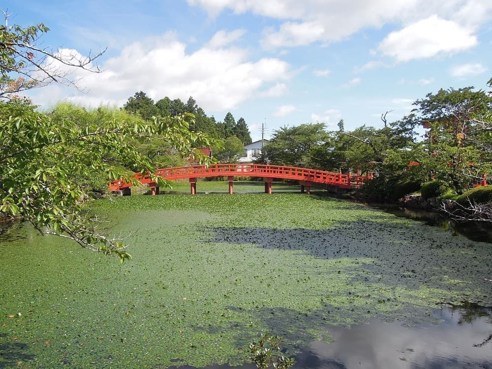 涼ヶ岡八幡神社 放生池
