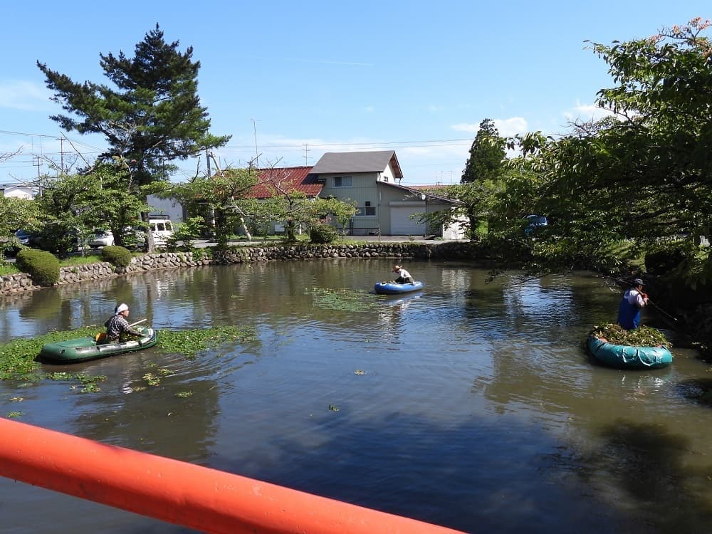 涼ヶ岡八幡神社 放生池