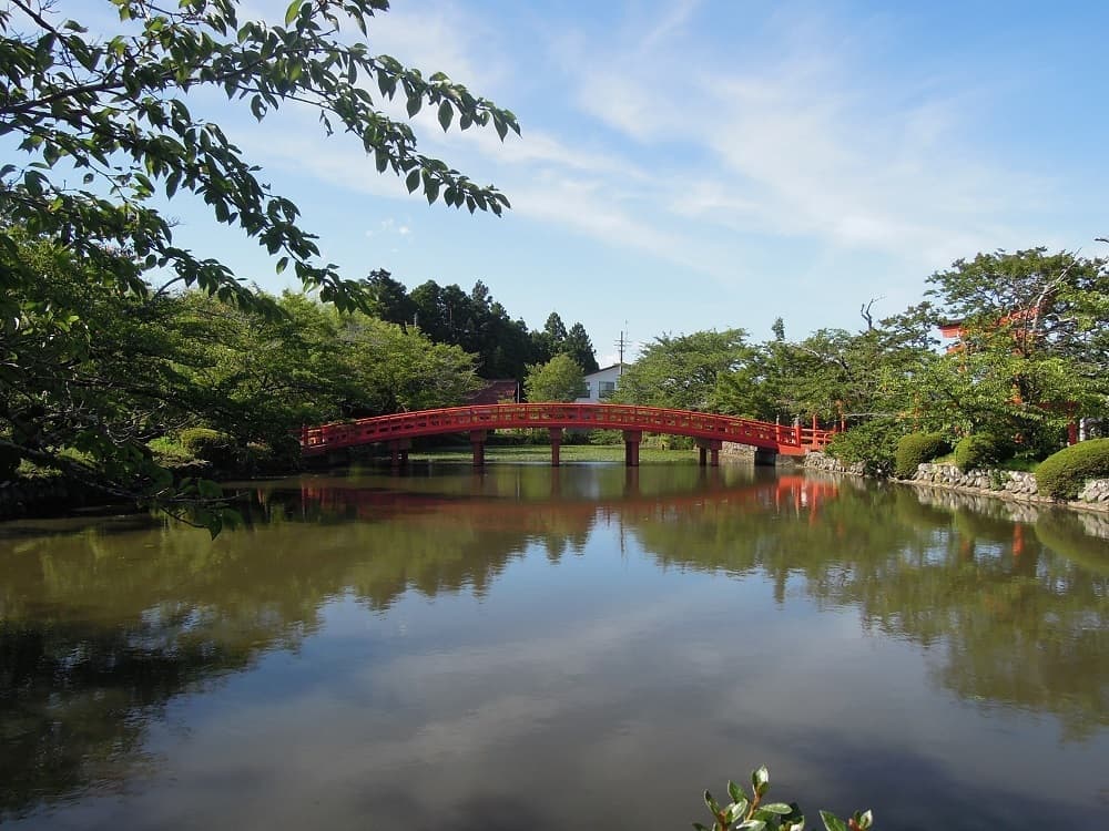 涼ヶ岡八幡神社 放生池