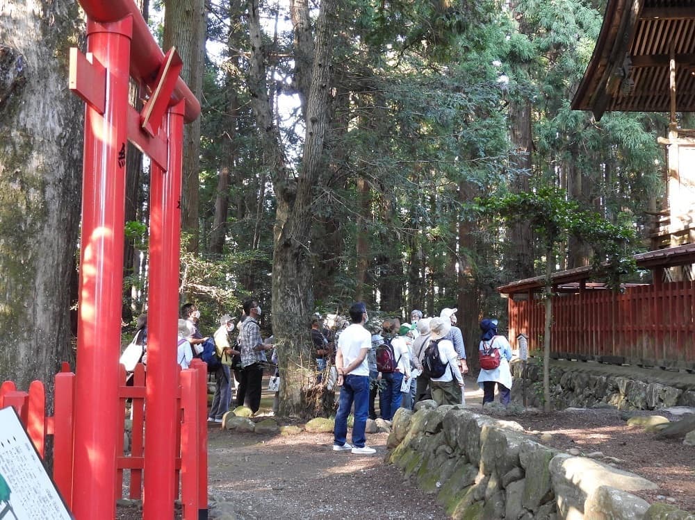 涼ヶ岡八幡神社 重要文化財