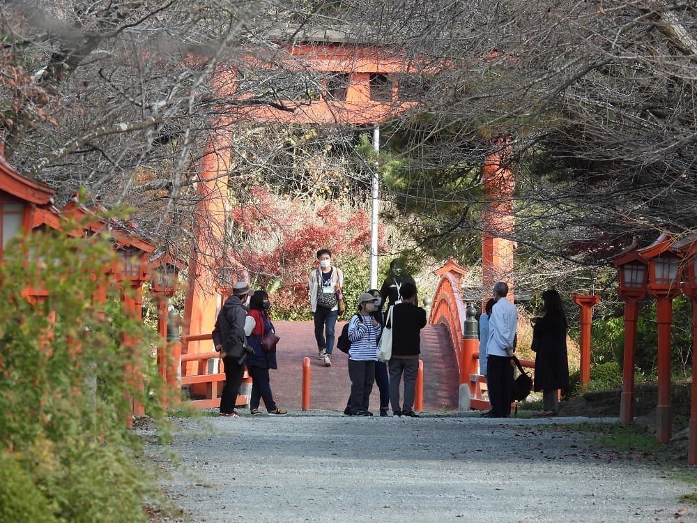 涼ヶ岡八幡神社 鳥居 神路橋
