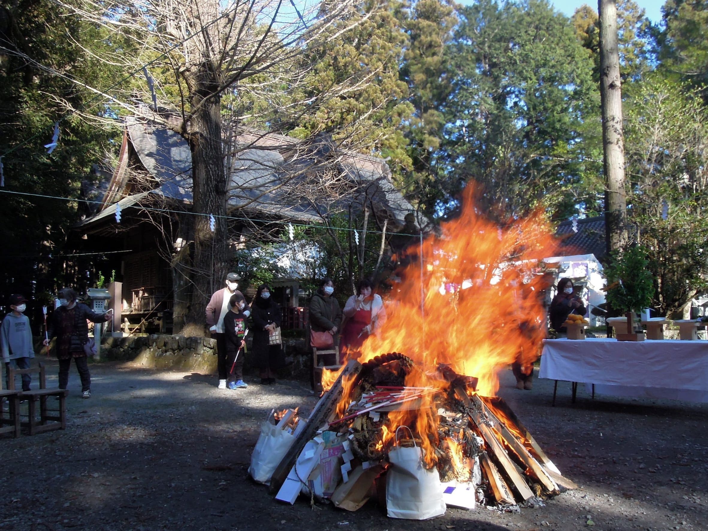 涼ヶ岡八幡神社 どんと祭