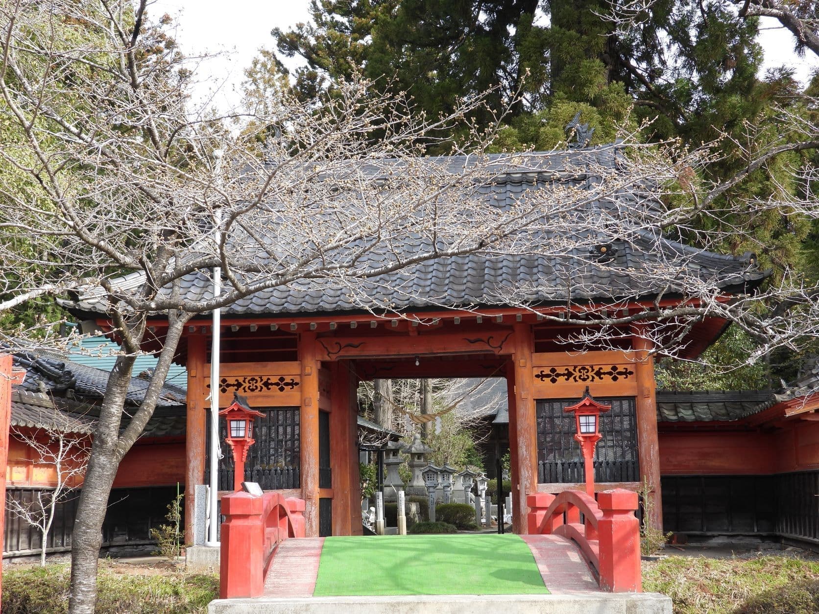 涼ヶ岡八幡神社 随身門 桜