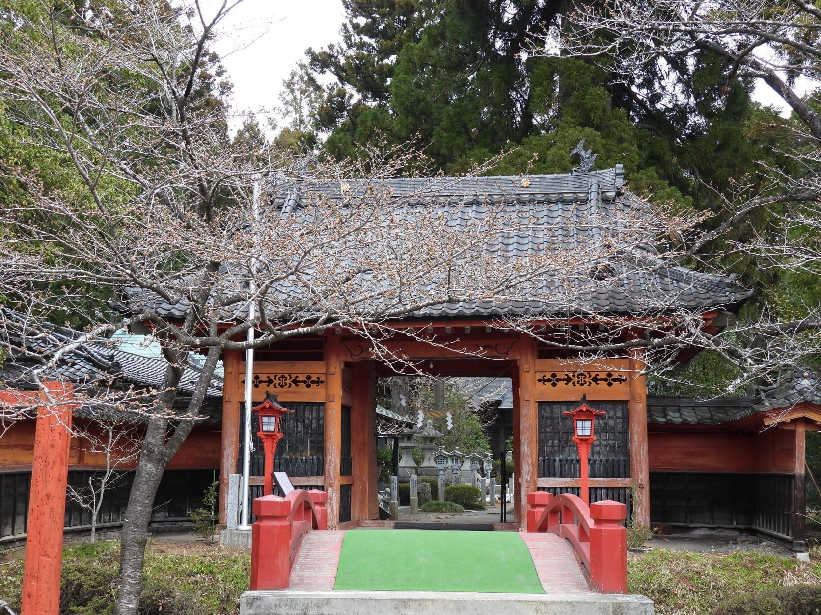 涼ヶ岡八幡神社 随身門 桜