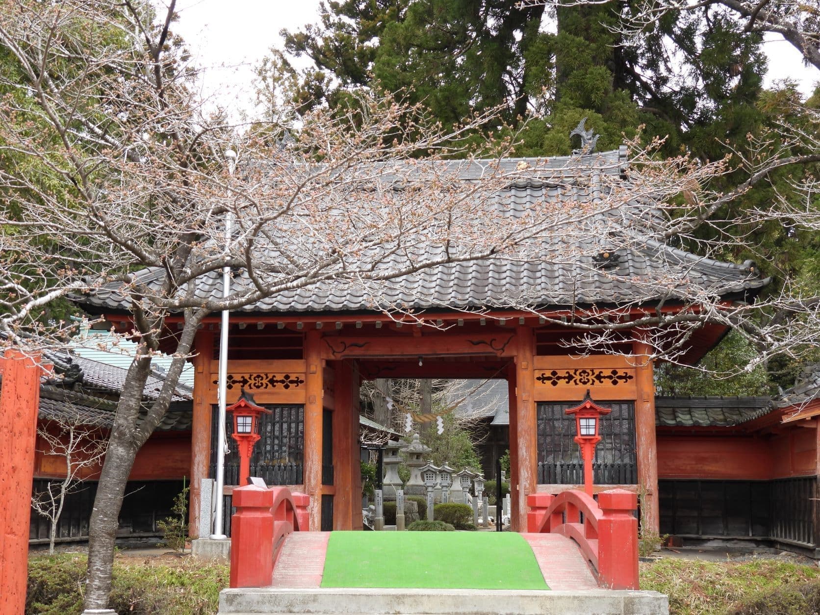 涼ヶ岡八幡神社 随身門 桜