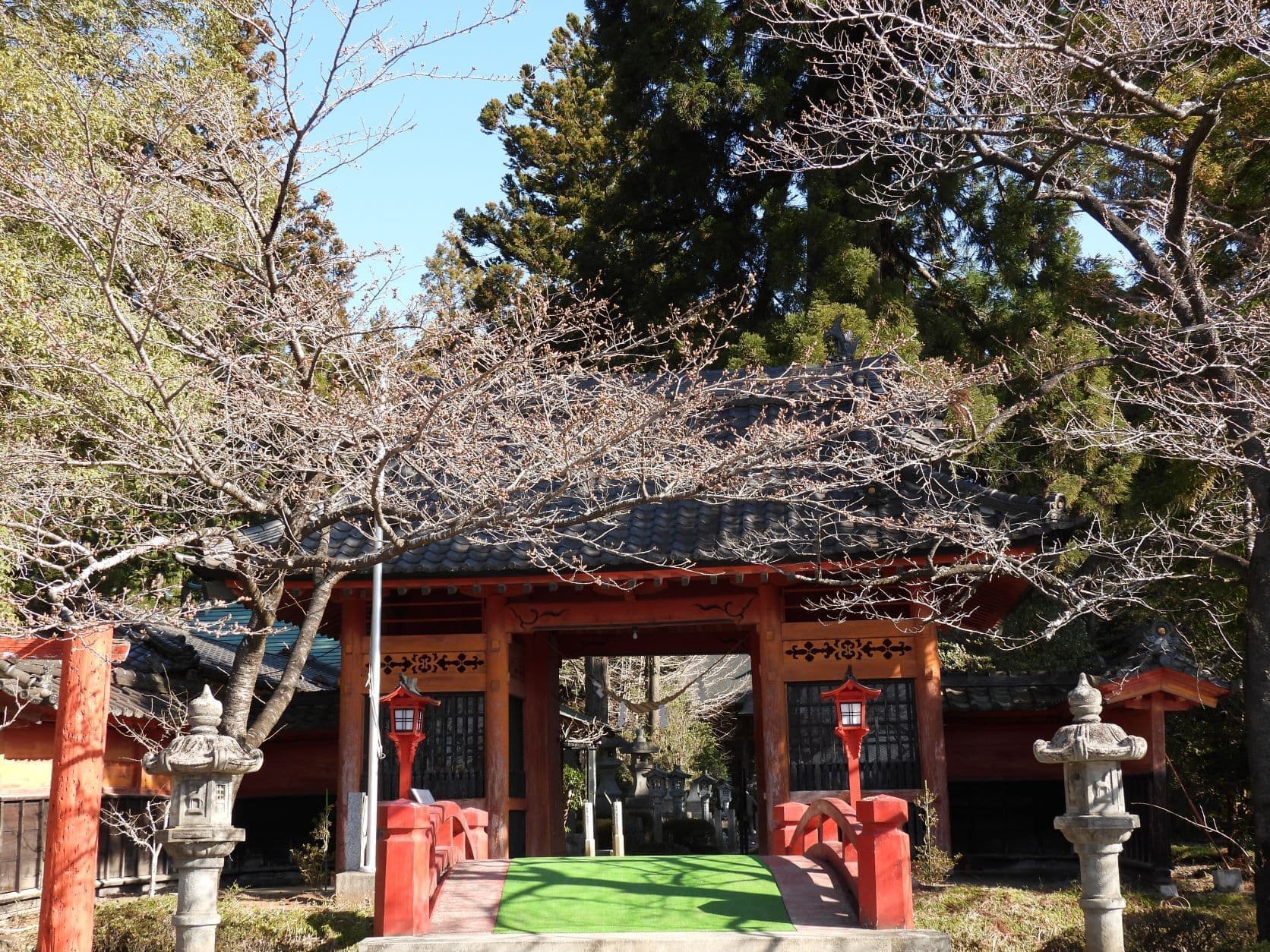 涼ヶ岡八幡神社 随身門 桜