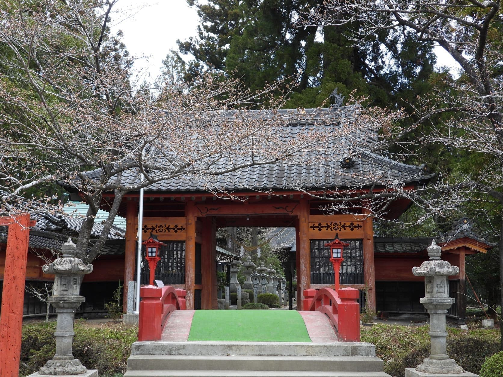 涼ヶ岡八幡神社 随身門 桜