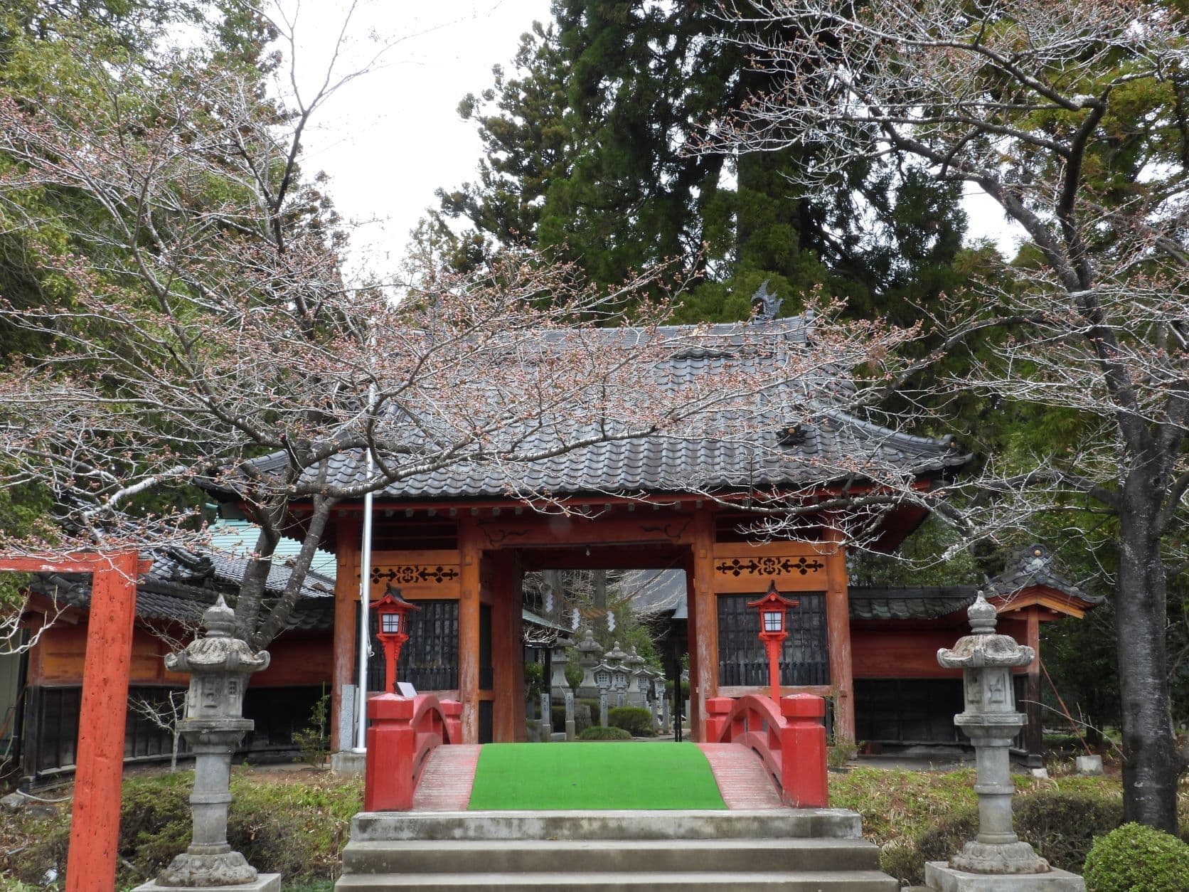 涼ヶ岡八幡神社 随身門 桜
