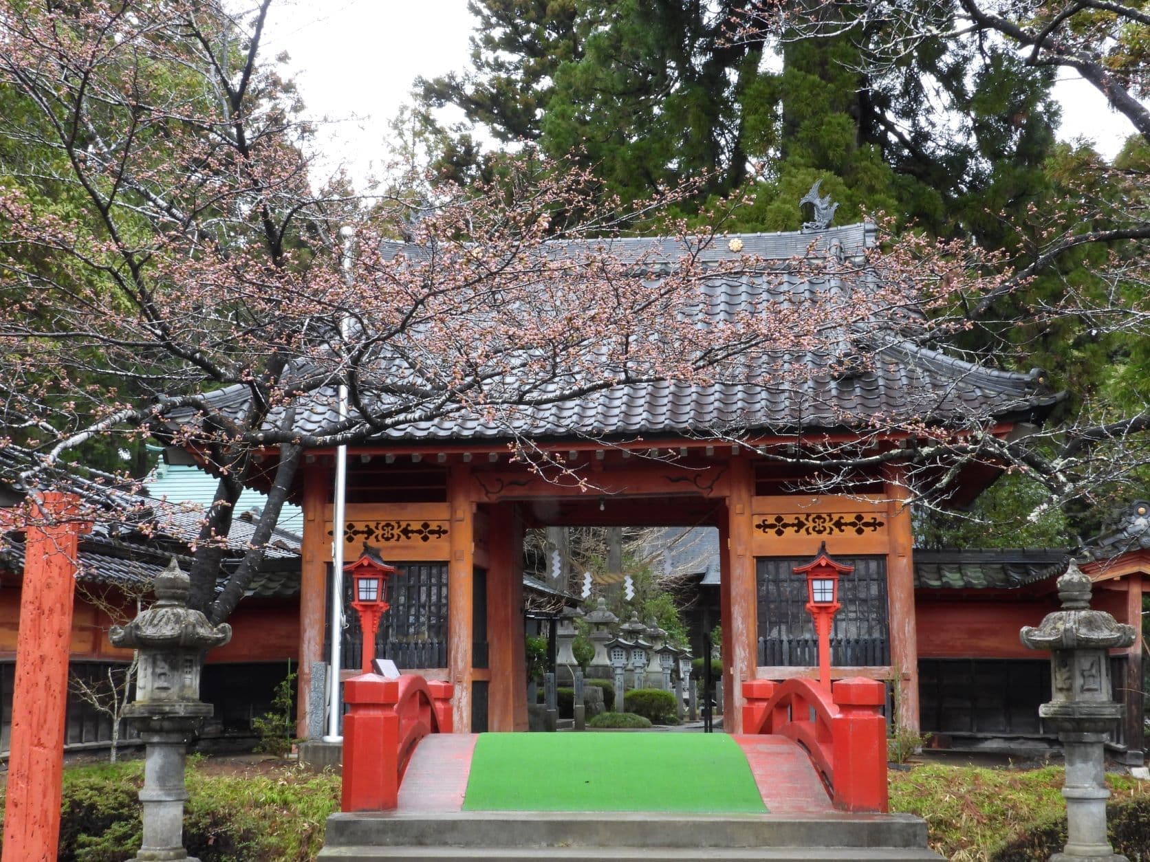 涼ヶ岡八幡神社 随身門 桜