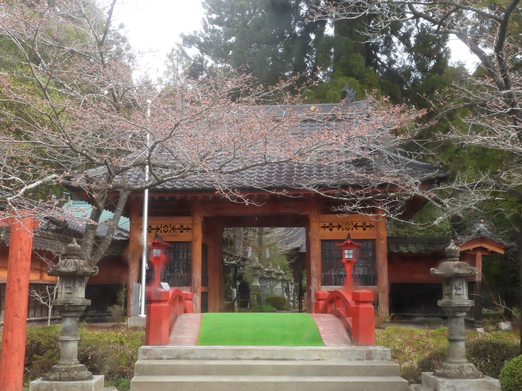 涼ヶ岡八幡神社 随身門 桜