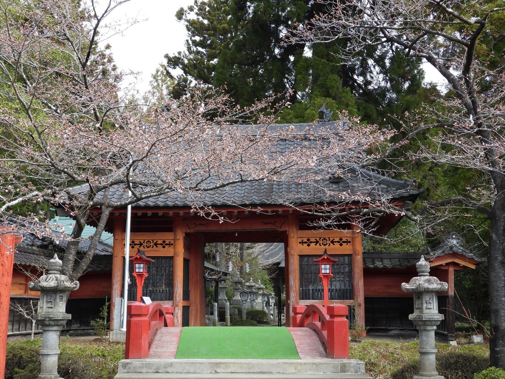涼ヶ岡八幡神社 桜 開花情報 随身門