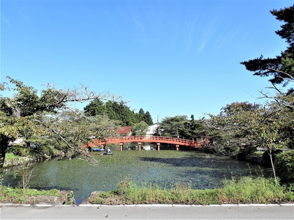 涼ヶ岡八幡神社 放生池 ヒシ除去