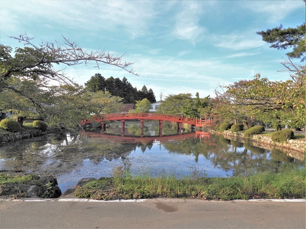 涼ヶ岡八幡神社 放生池 ヒシ除去