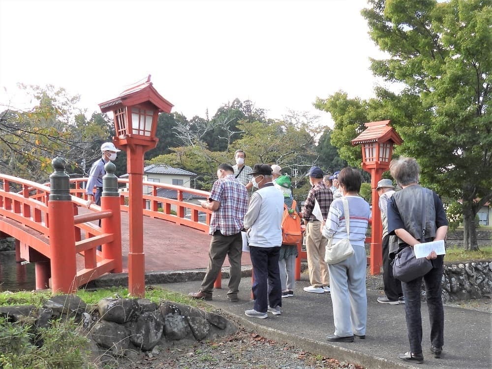 涼ヶ岡八幡神社 放生池