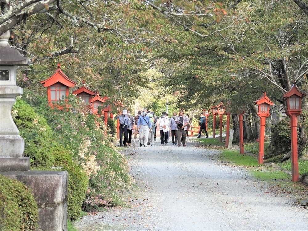 涼ヶ岡八幡神社 参道