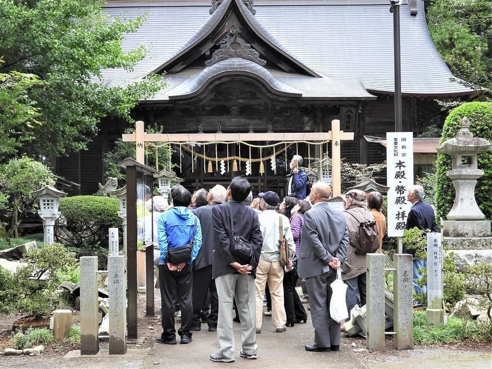 涼ヶ岡八幡神社 雄の大イチョウにギンナン