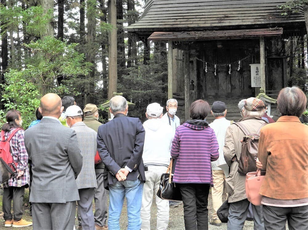 涼ヶ岡八幡神社 亀齢社