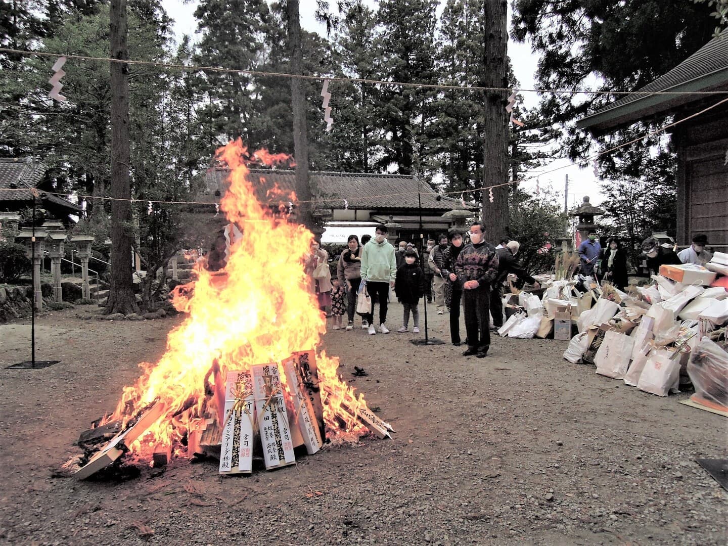 涼ヶ岡八幡神社 どんと祭