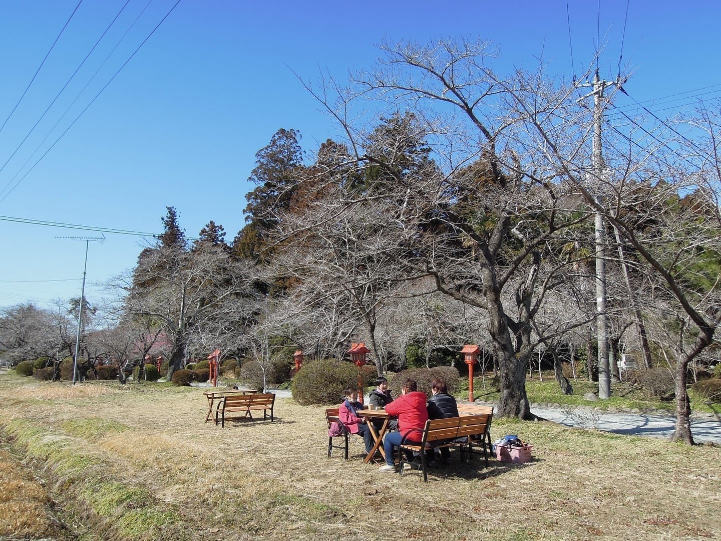 涼ヶ岡八幡神社 いこいの広場