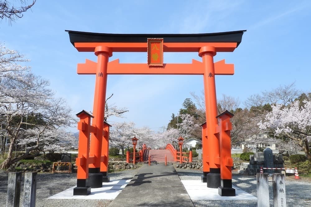 涼ヶ岡八幡神社 桜 開花情報