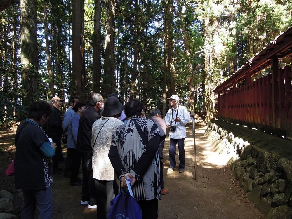 涼ヶ岡八幡神社