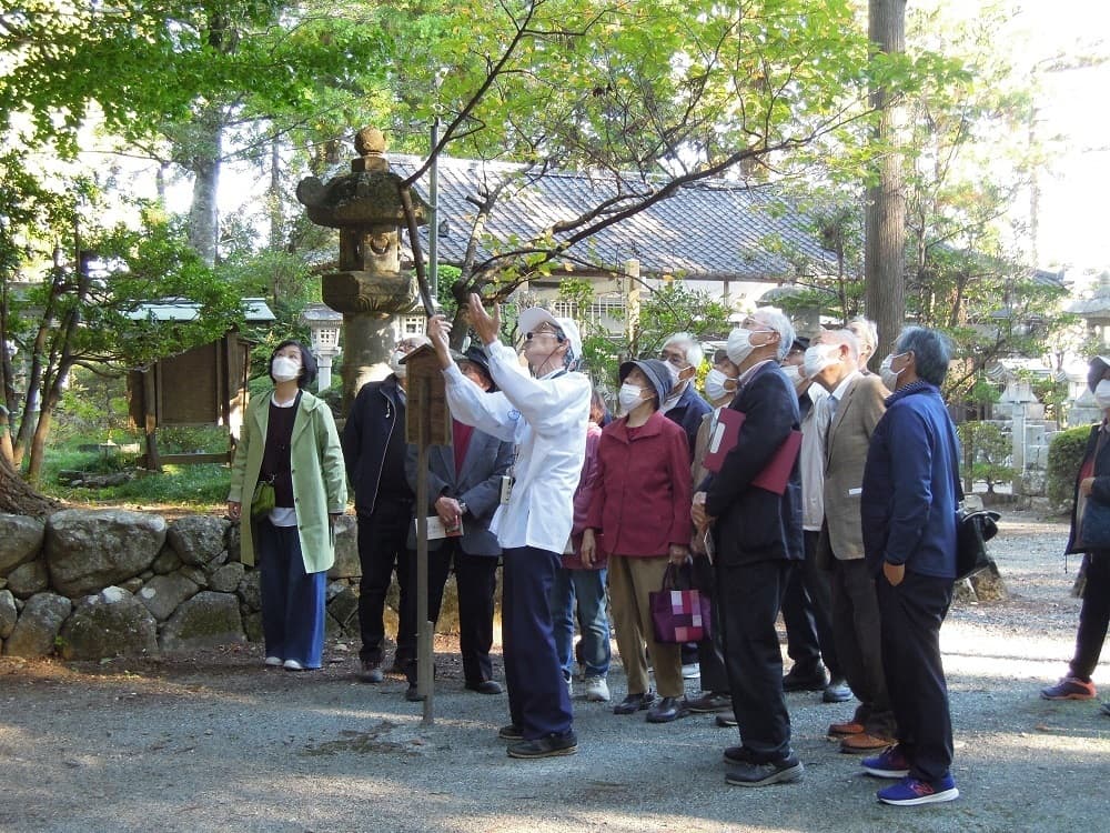 涼ヶ岡八幡神社 カヤラン マツラン