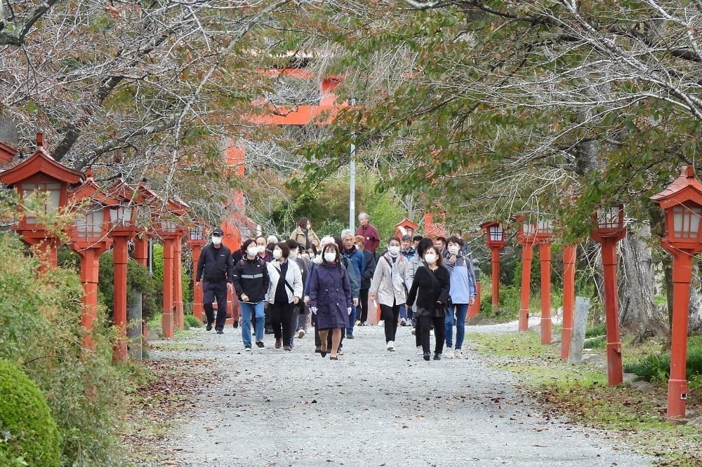 涼ヶ岡八幡神社 参道