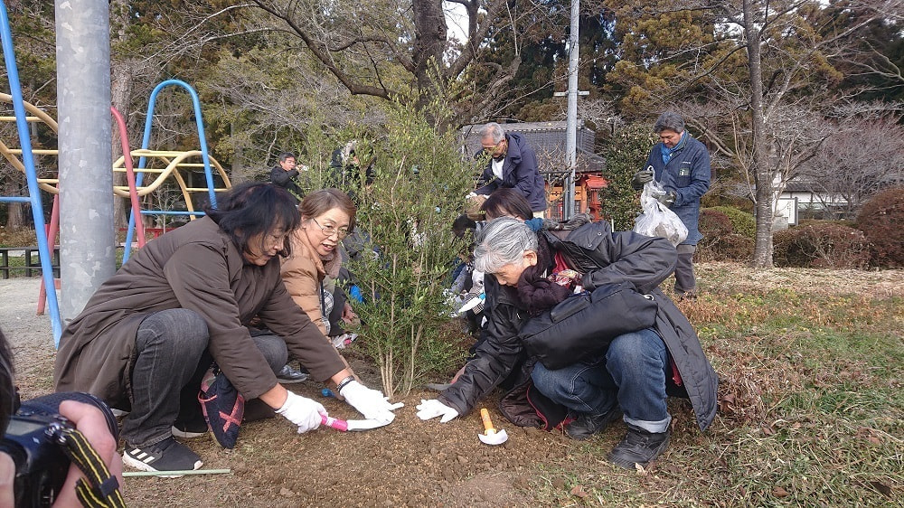 涼ヶ岡八幡神社 植樹