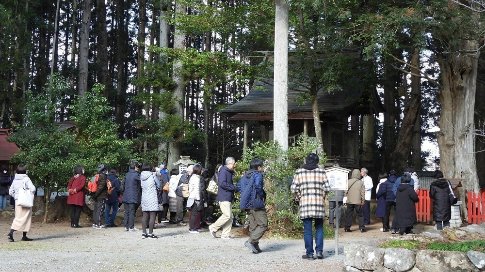 涼ヶ岡八幡神社 植樹