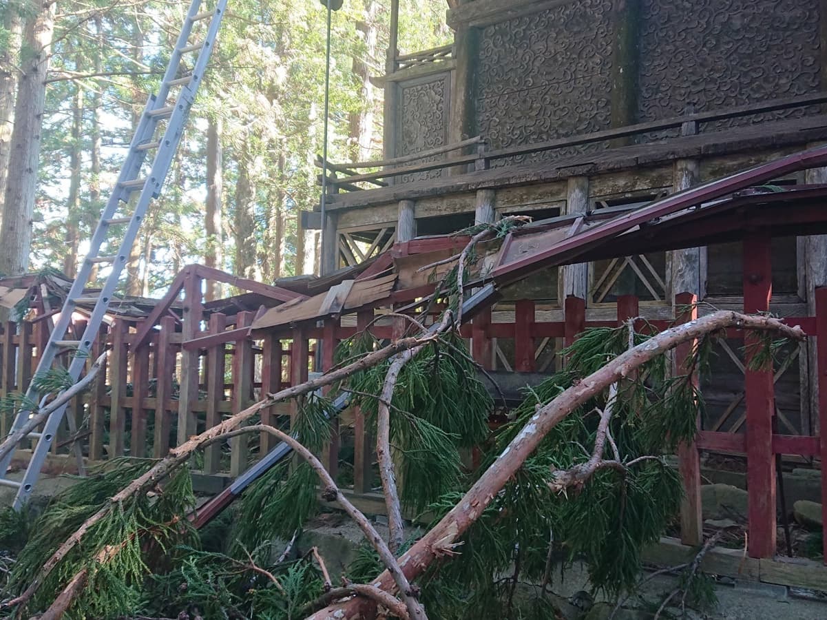 涼ヶ岡八幡神社 倒木被害