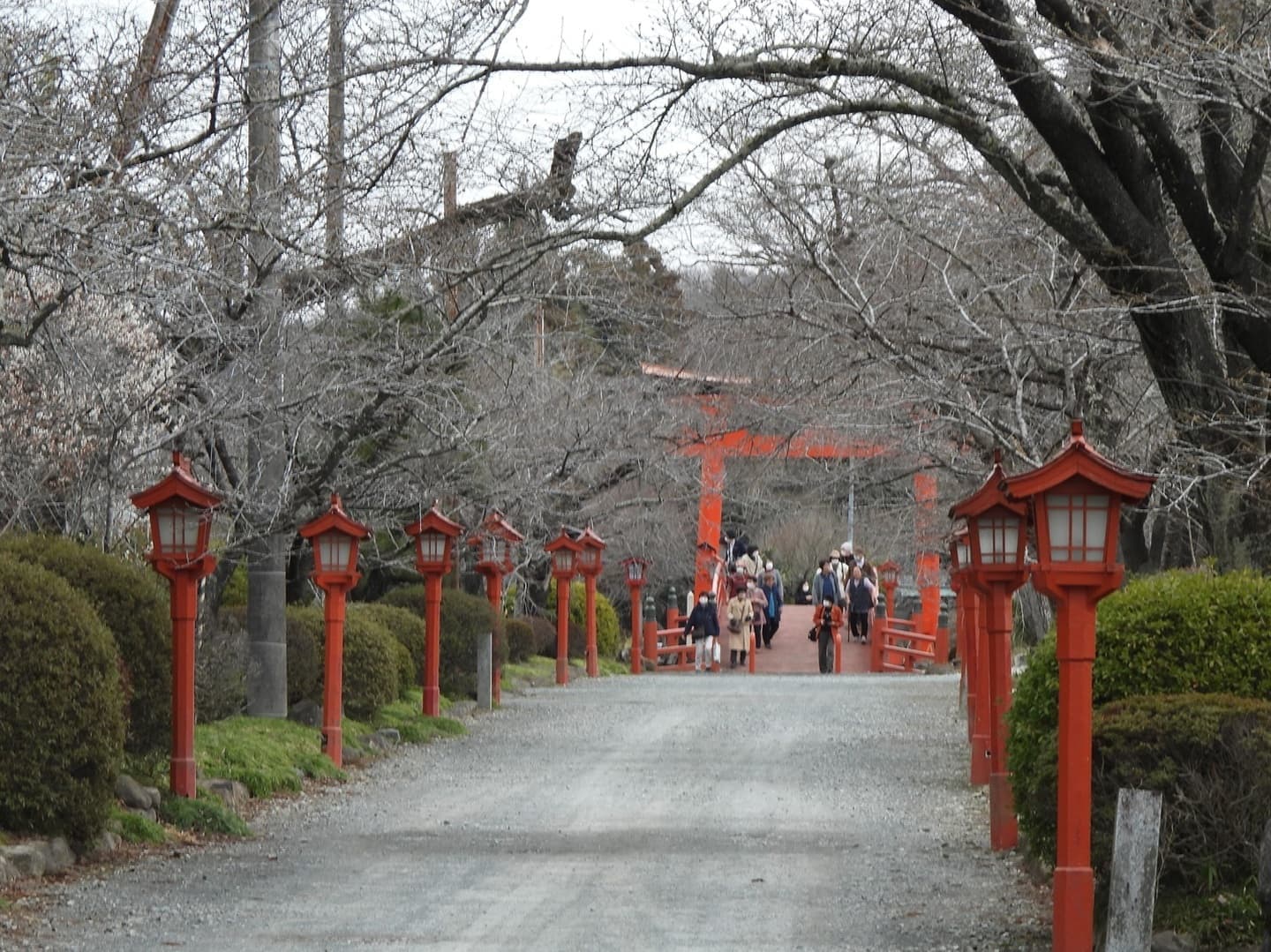 涼ヶ岡八幡神社 参道