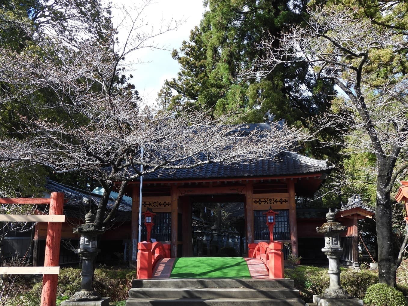 涼ヶ岡八幡神社 桜 開花情報