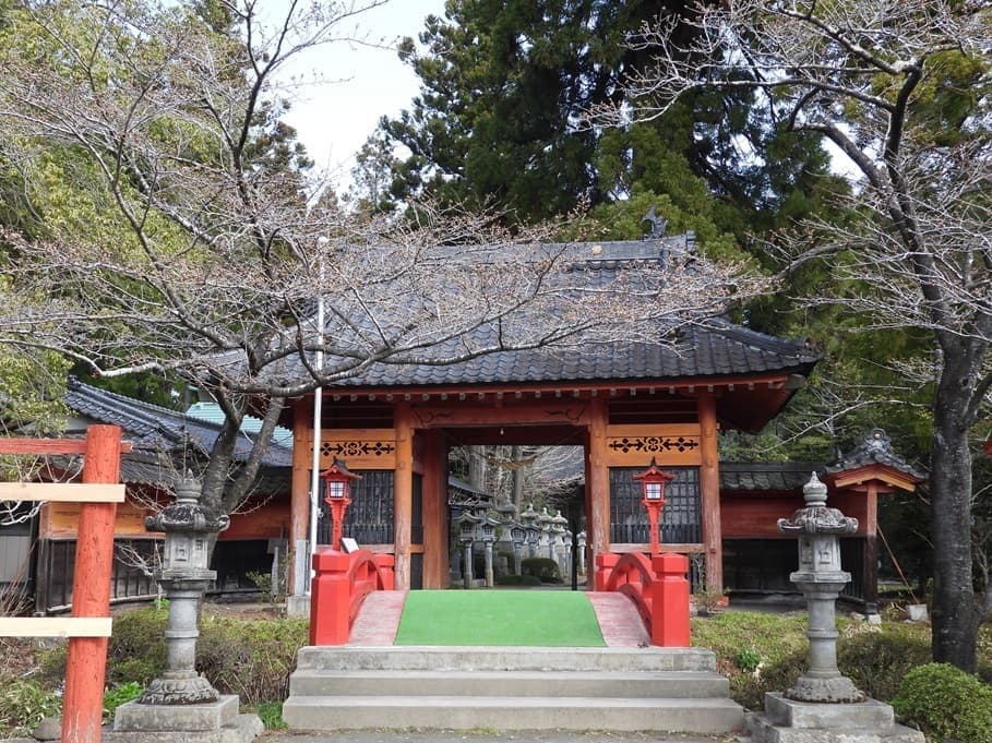 涼ヶ岡八幡神社 桜 開花情報