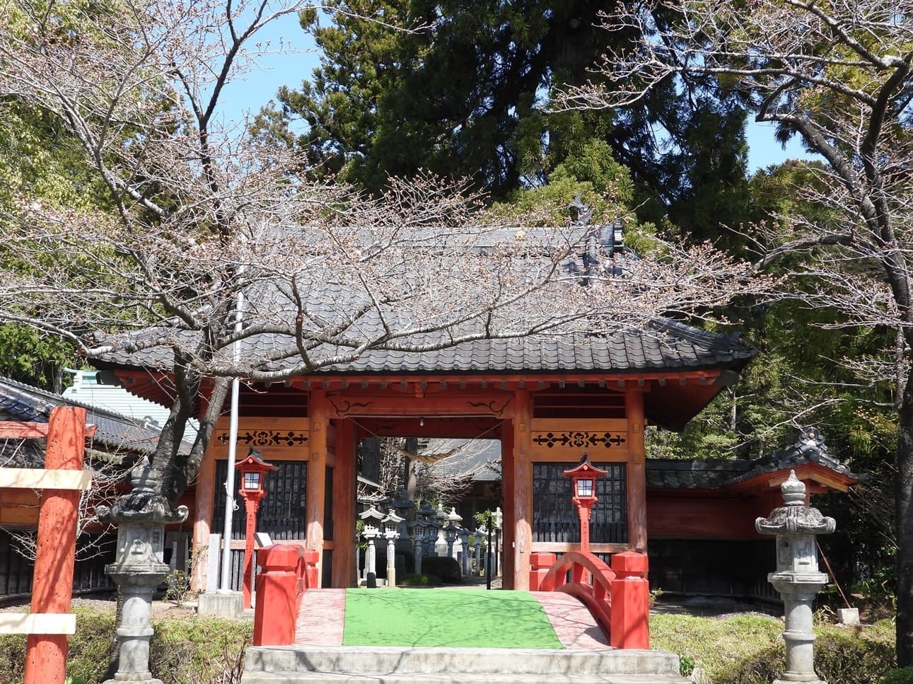 涼ヶ岡八幡神社　桜　開花情報　