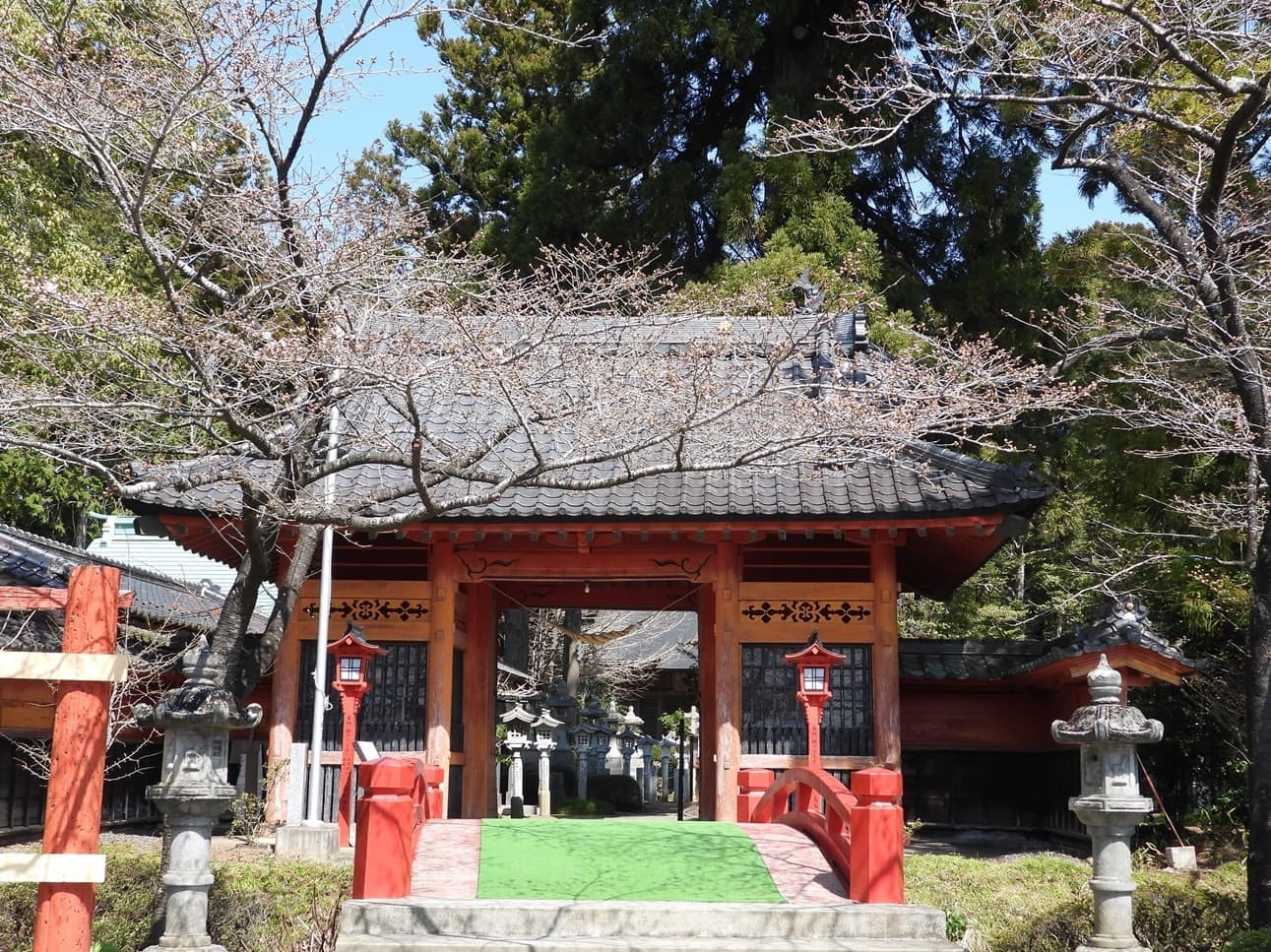 涼ヶ岡八幡神社 桜 開花情報