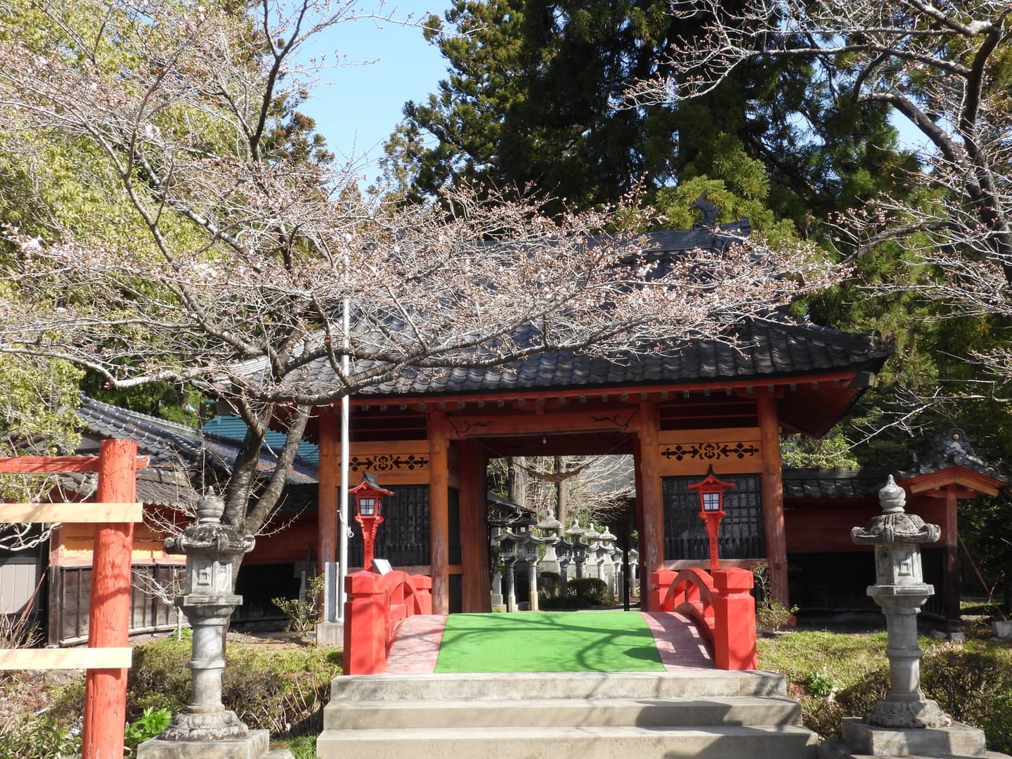 涼ヶ岡八幡神社 桜 開花情報