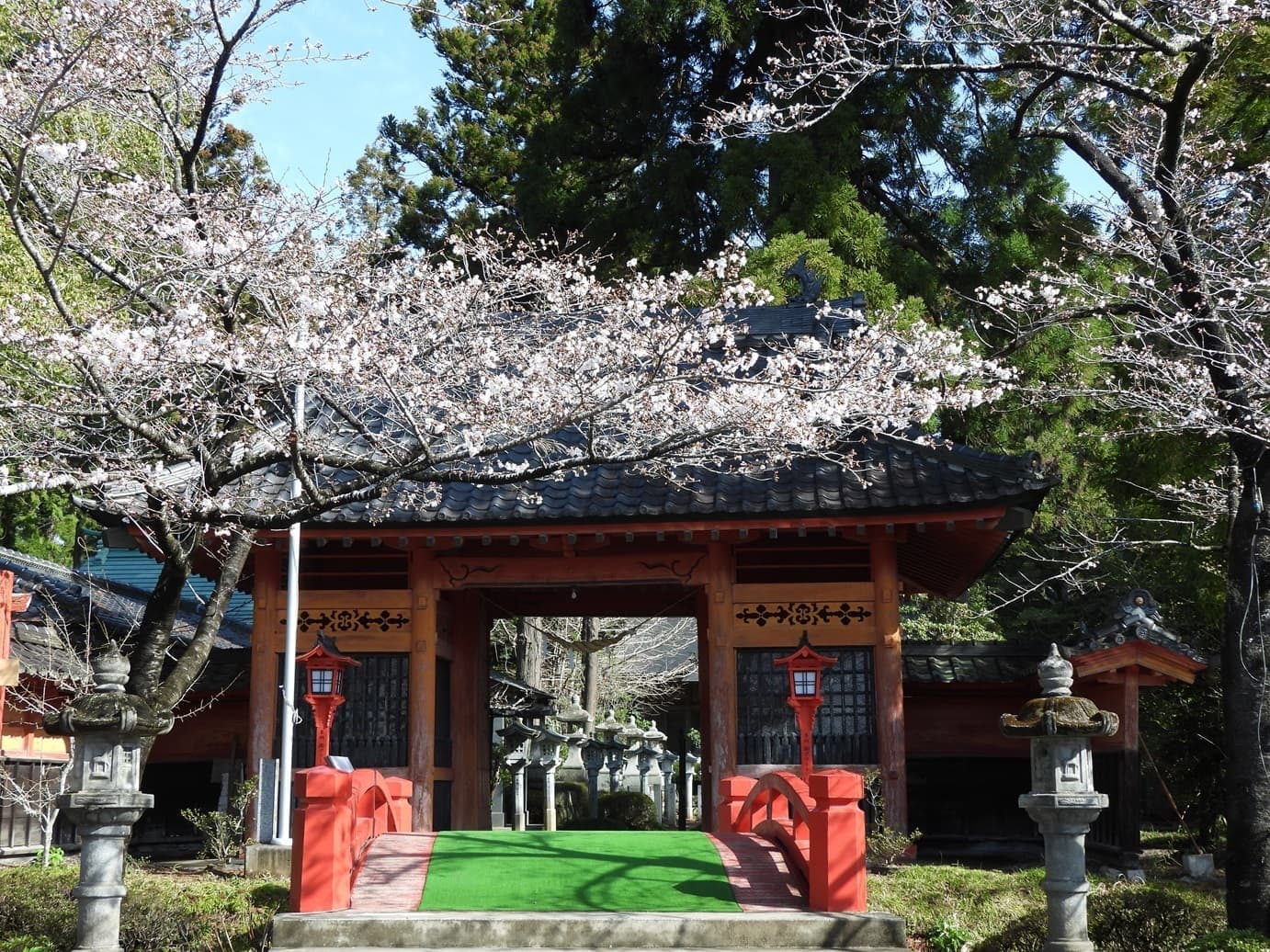 涼ヶ岡八幡神社 桜 開花情報