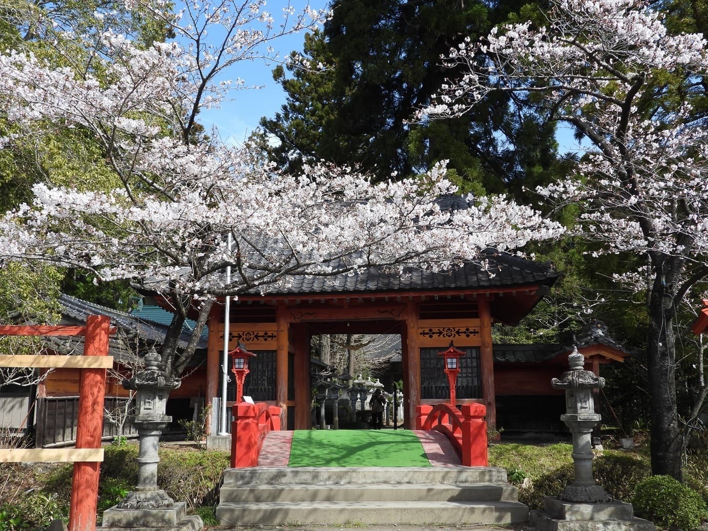 涼ヶ岡八幡神社 桜 開花情報