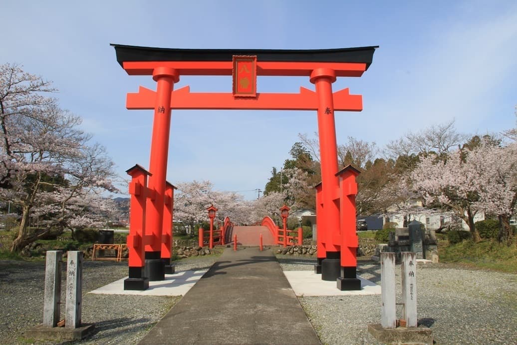 涼ヶ岡八幡神社 桜 開花情報