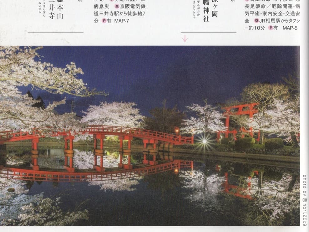 涼ヶ岡八幡神社 桜 ライトアップ 角川 にっぽんの花地図